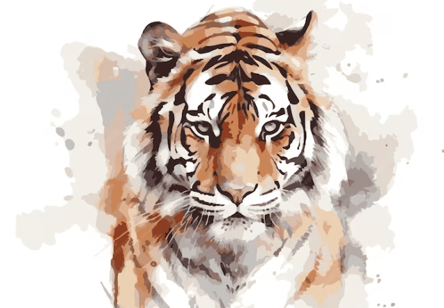 Illustration tigre de Sibérie