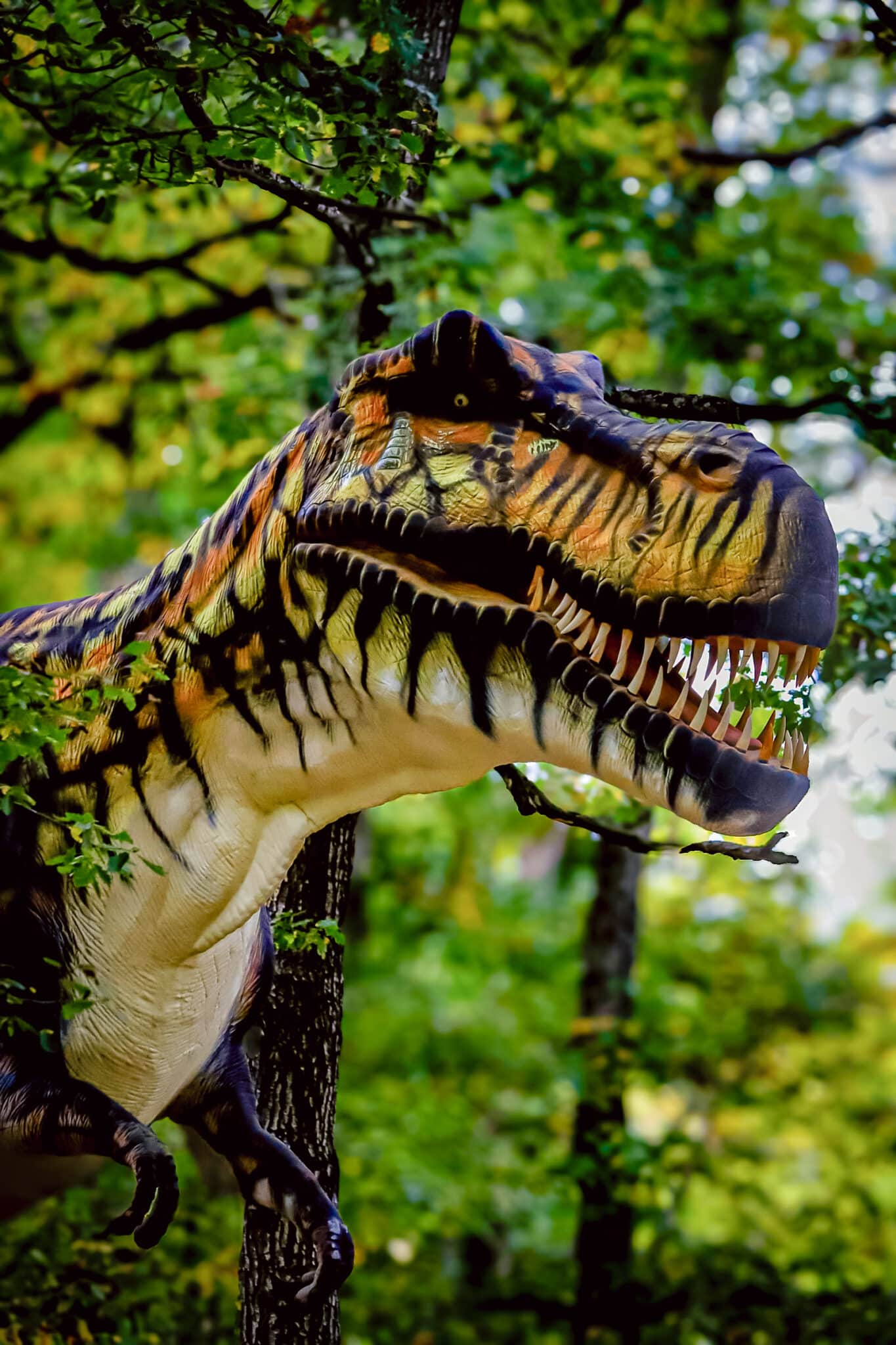 Tyrannosaure-Rex