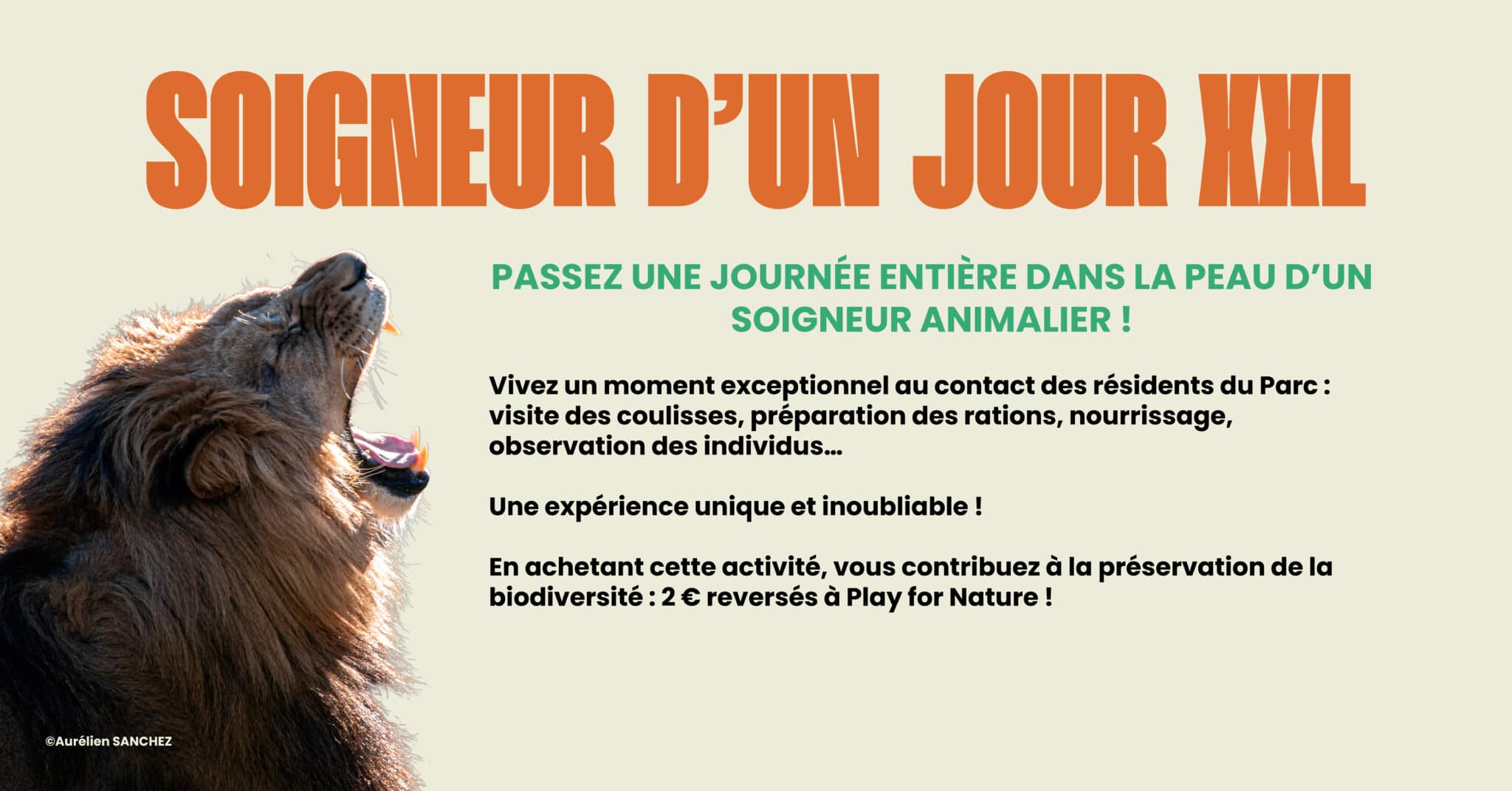 Bannière site soigneur xxl